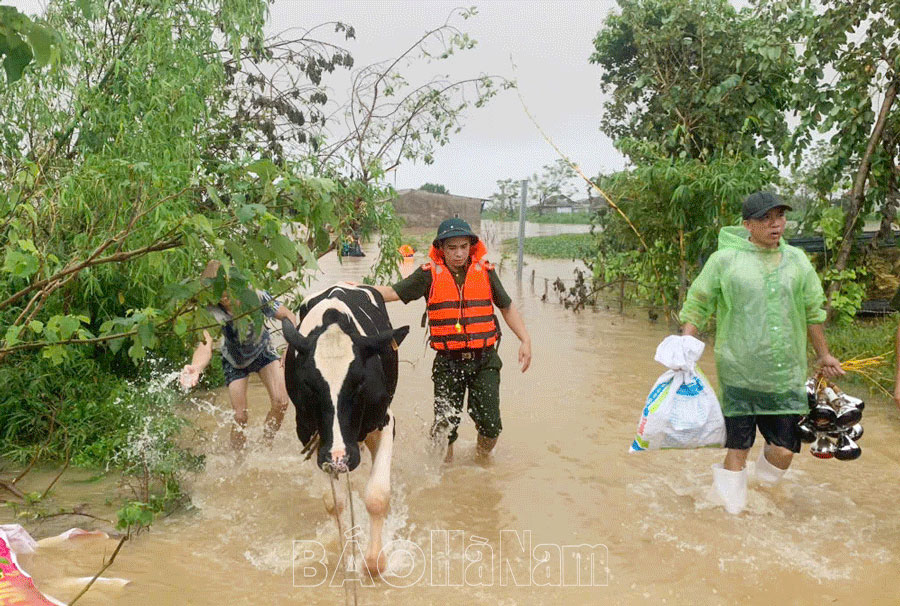 Mộc Bắc chủ động khắc phục hậu quả sau bão, lũ