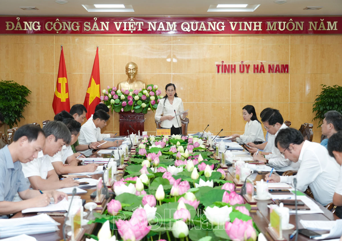 Thường trực Tỉnh ủy cho ý kiến, chủ trương các nội dung dự kiến trình Kỳ họp chuyên đề HĐND tỉnh khóa XIX