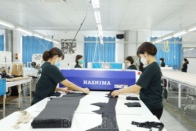 Thúc đẩy phát triển doanh nghiệp