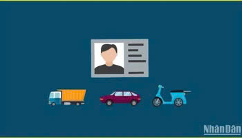 Quy định về kiểm tra kiến thức để được phục hồi điểm giấy phép lái xe