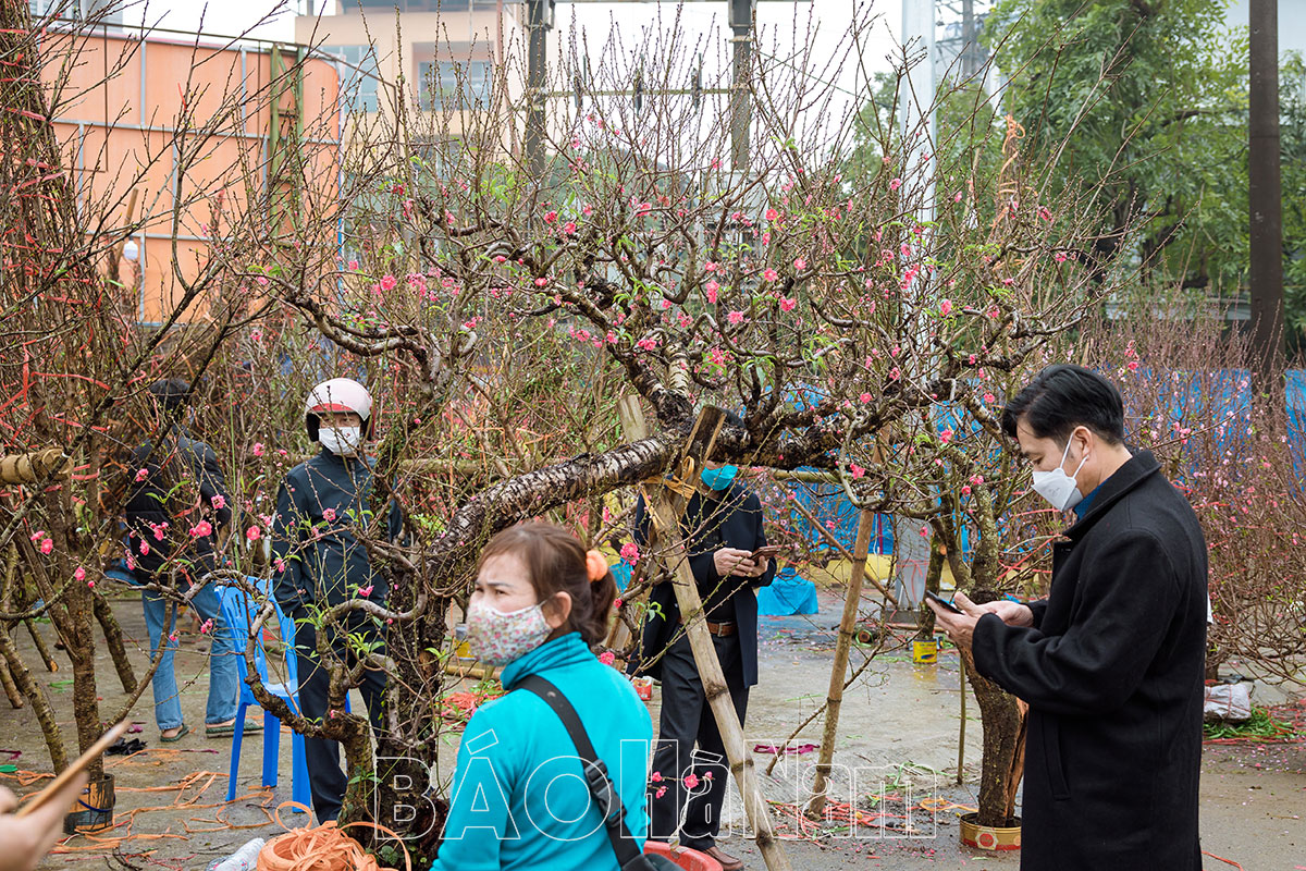 Thủ tướng đồng ý đề xuất Tết Nguyên đán Ất Tỵ 2025 nghỉ 9 ngày liên tục