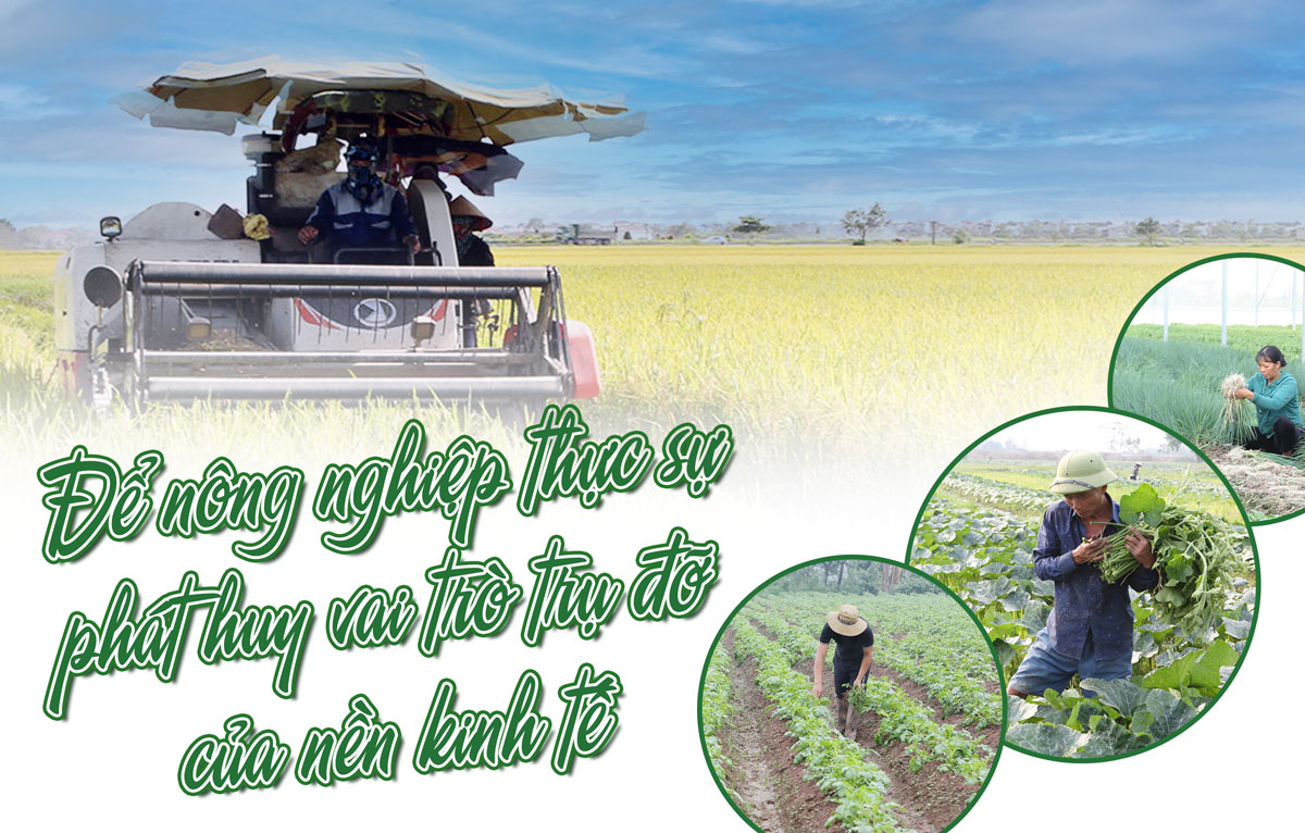 Để nông nghiệp thực sự phát huy vai trò trụ đỡ của nền kinh tế