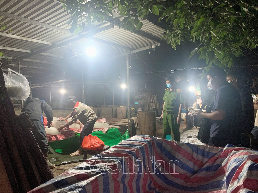 Tiêu huỷ gần 3 tấn thịt lợn dương tính với virus dịch tả lợn châu Phi