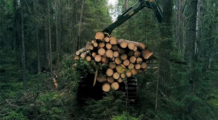 Công nghệ mới giúp nuôi trồng tế bào thực vật để in 3D các loại gỗ