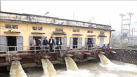 Tập trung chỉ đạo sản xuất vụ xuân 2023 trong dịp Tết Nguyên đán