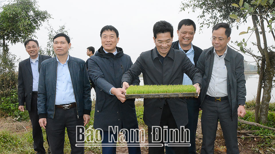 Đồng chí Phó Chủ tịch Thường trực UBND tỉnh kiểm tra công tác sản xuất vụ xuân 2023