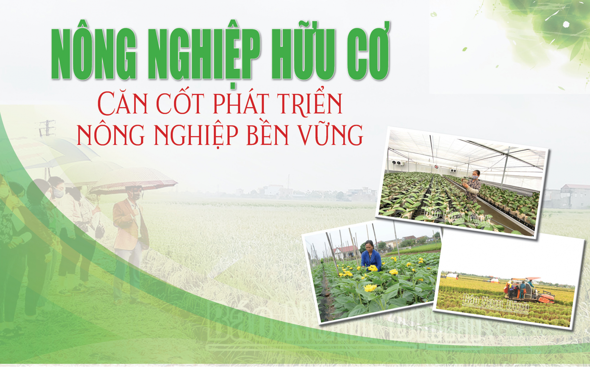 Nông nghiệp hữu cơ - Căn cốt phát triển nông nghiệp bền vững