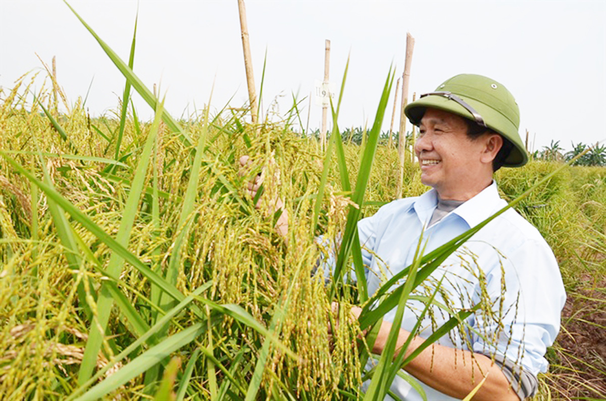 Tôn vinh đặc sản quê hương