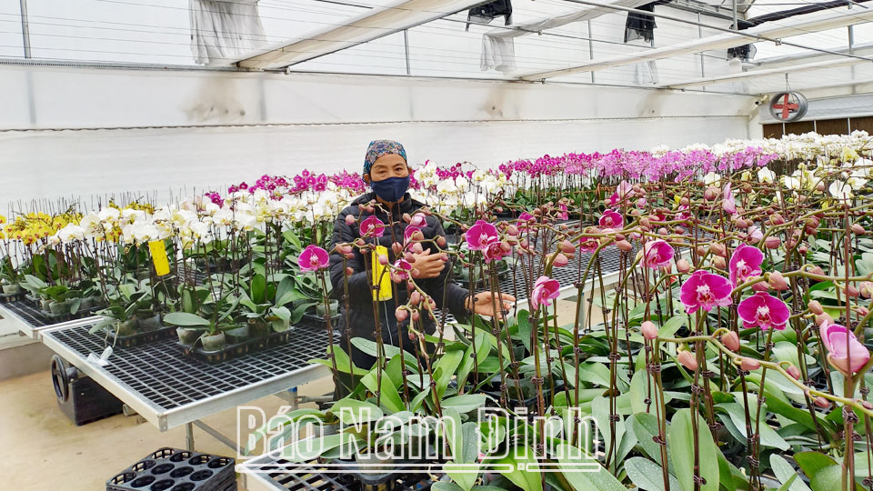 Những nông dân thời công nghệ số