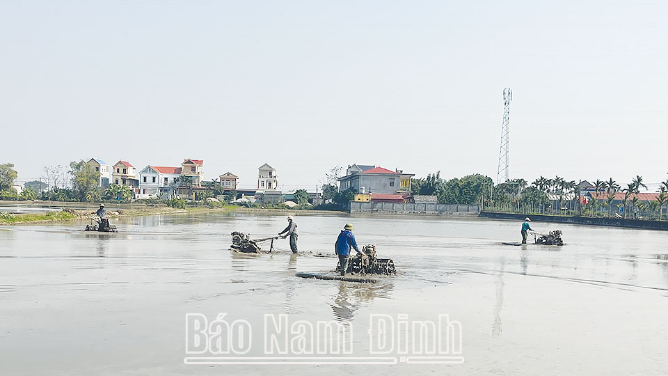 Rộn ràng xuống đồng cấy lúa xuân!