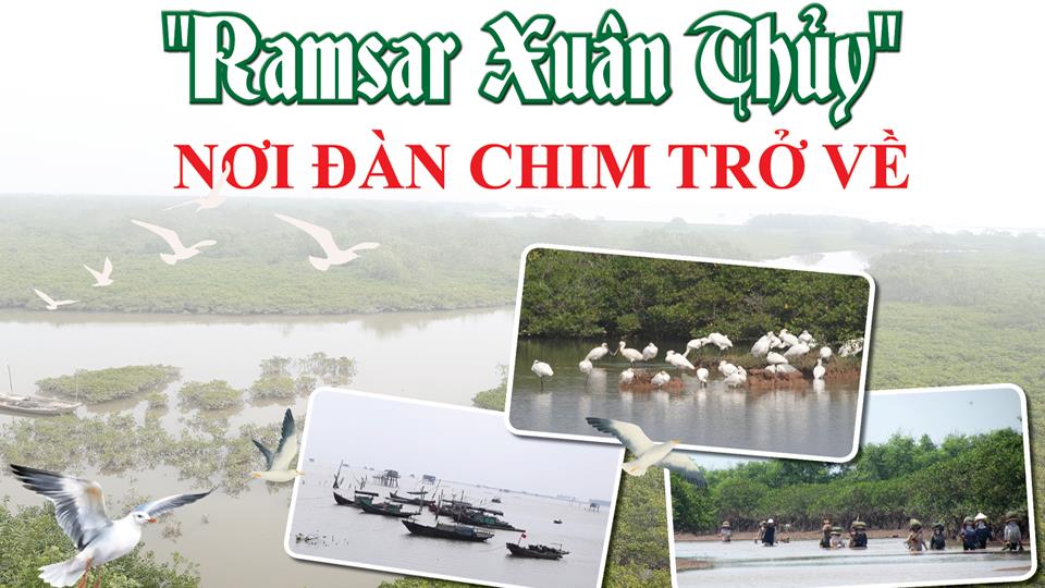 "Ramsar Xuân Thủy" - Nơi đàn chim trở về