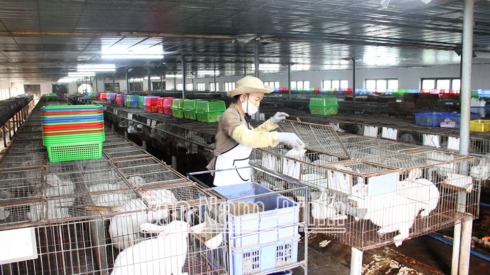 Hải Trung khuyến khíchthúc đẩy phát triển kinh tế hộ