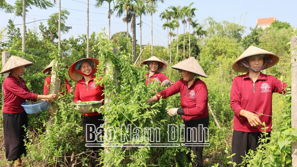 Quan tâm bảo tồnvà sử dụng bền vững nguồn gen