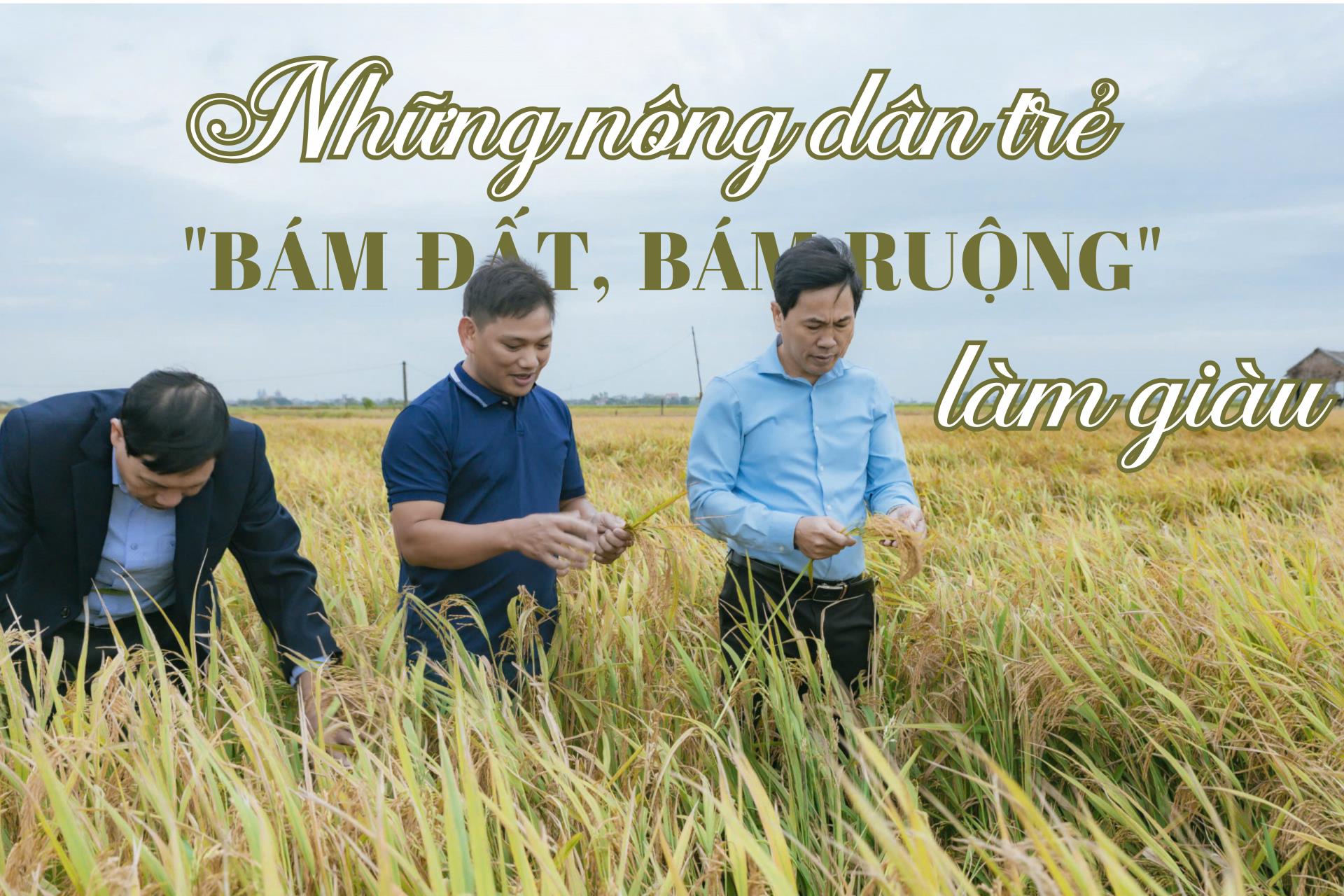 Những nông dân trẻ "bám đất, bám ruộng" làm giàu