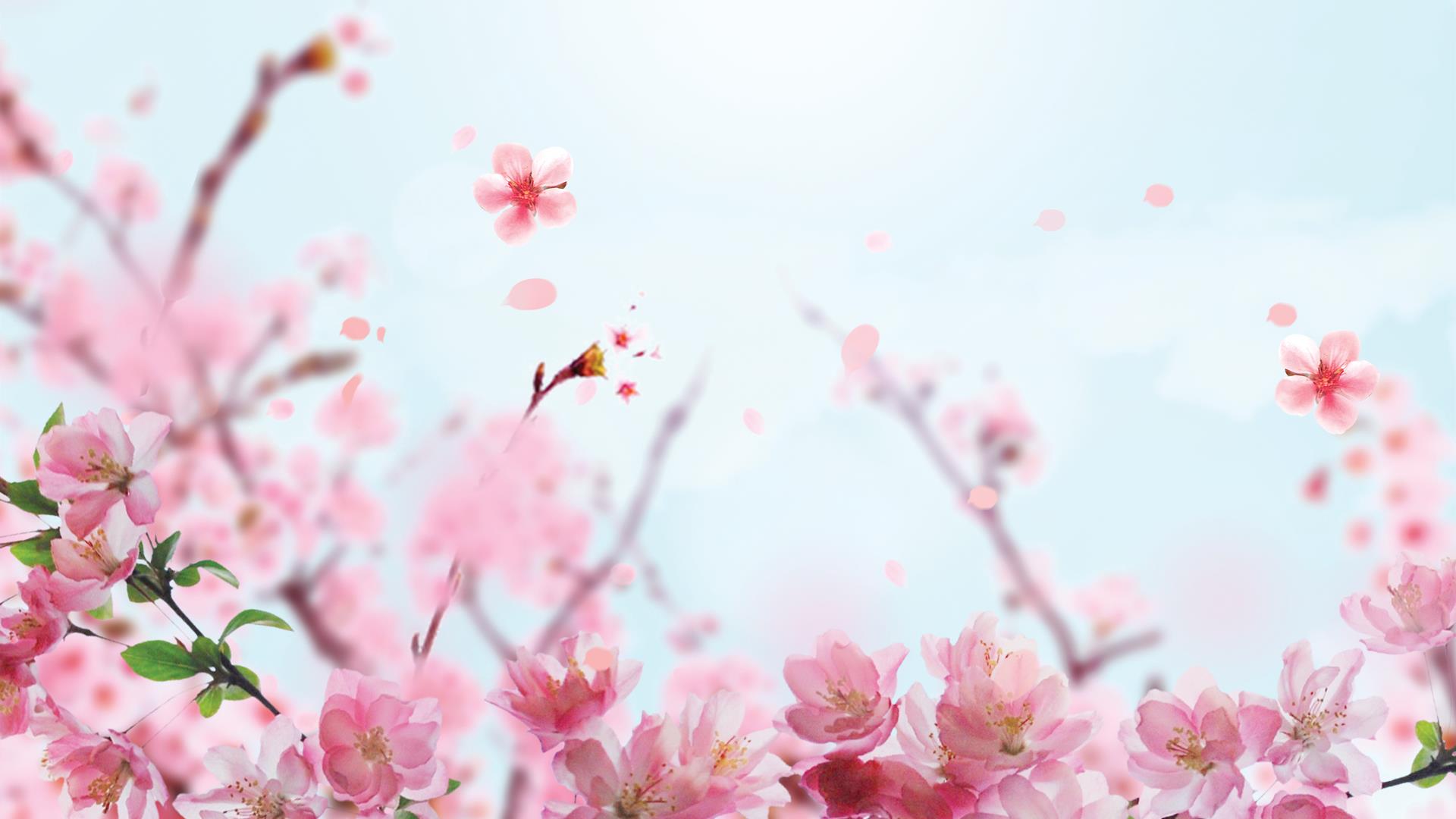 Lời thì thầm của mùa Xuân