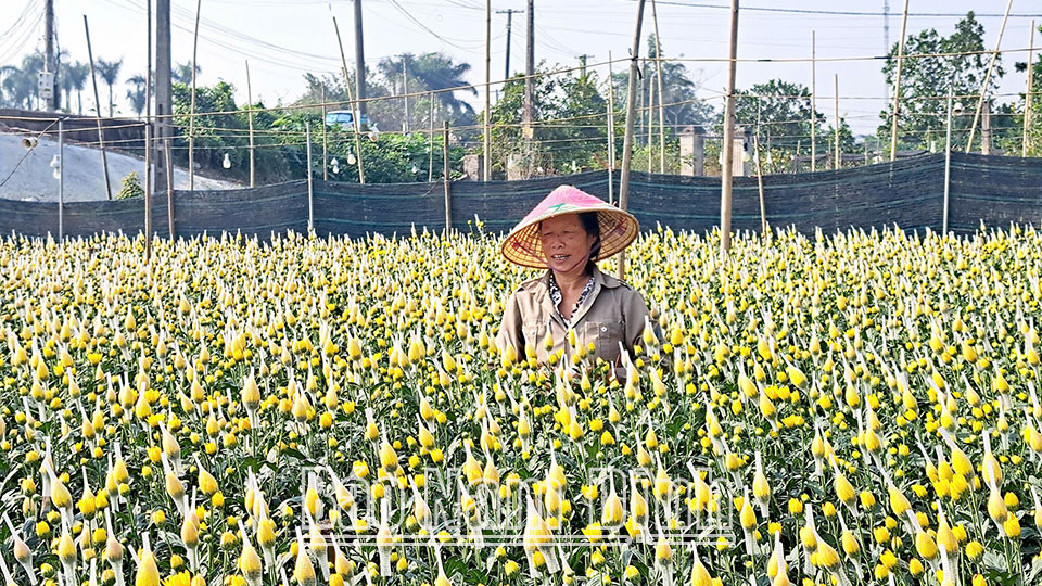 Các làng hoađón Tết