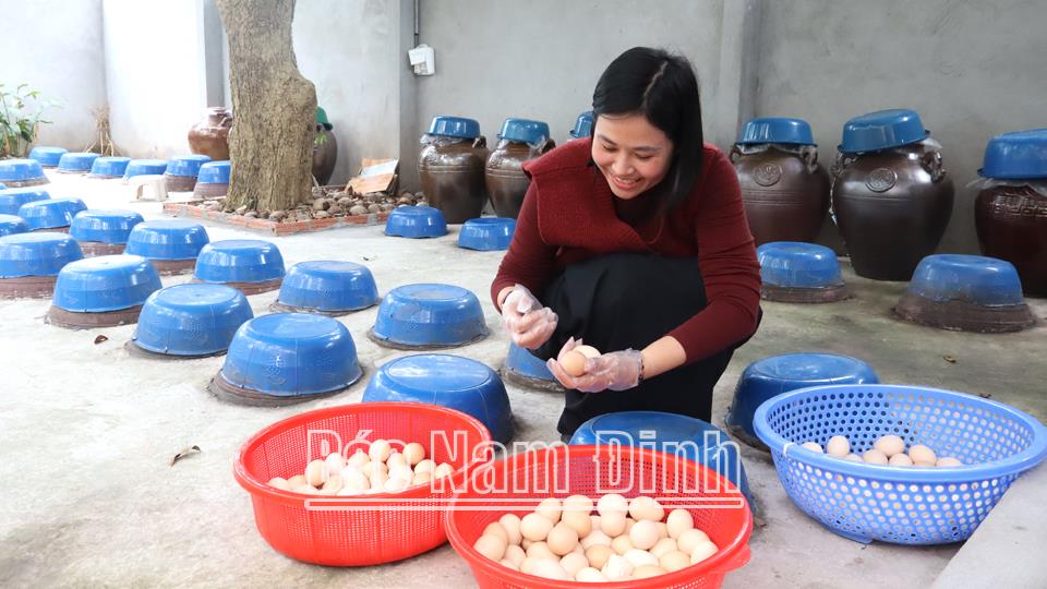 Đa dạng hoạt độnghỗ trợ nông dân