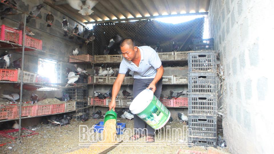 Ngân hàng Chính sách xã hội Nam Định góp phần đào tạo nghề, giải quyết việc làm