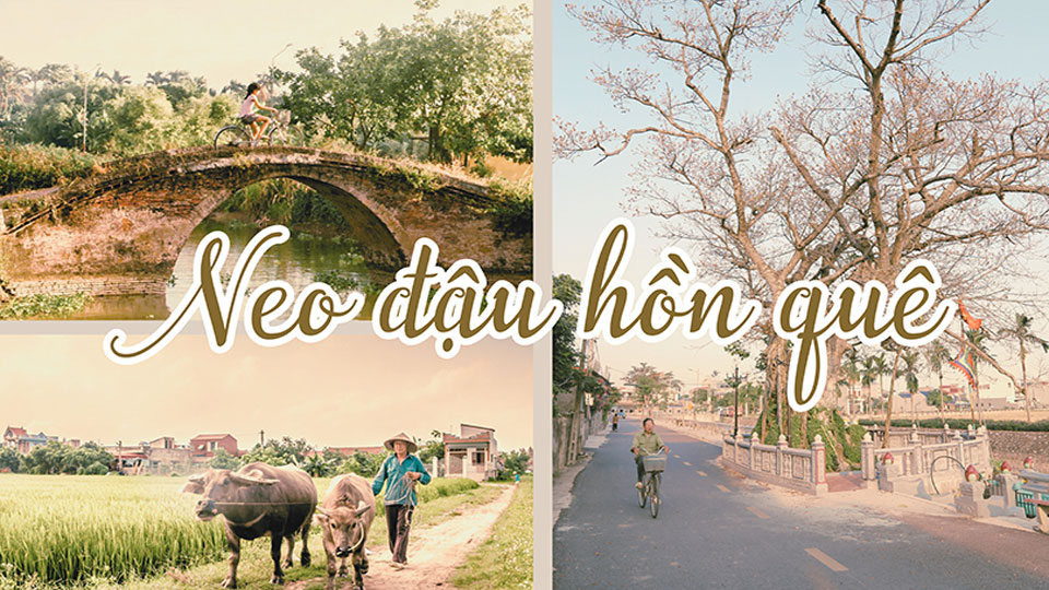 Neo đậu hồn quê