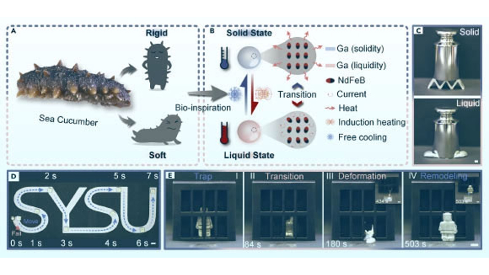 Các nhà khoa học đã tạo ra được một loại robot có thể tự hóa lỏng và thoát khỏi chuồng giam