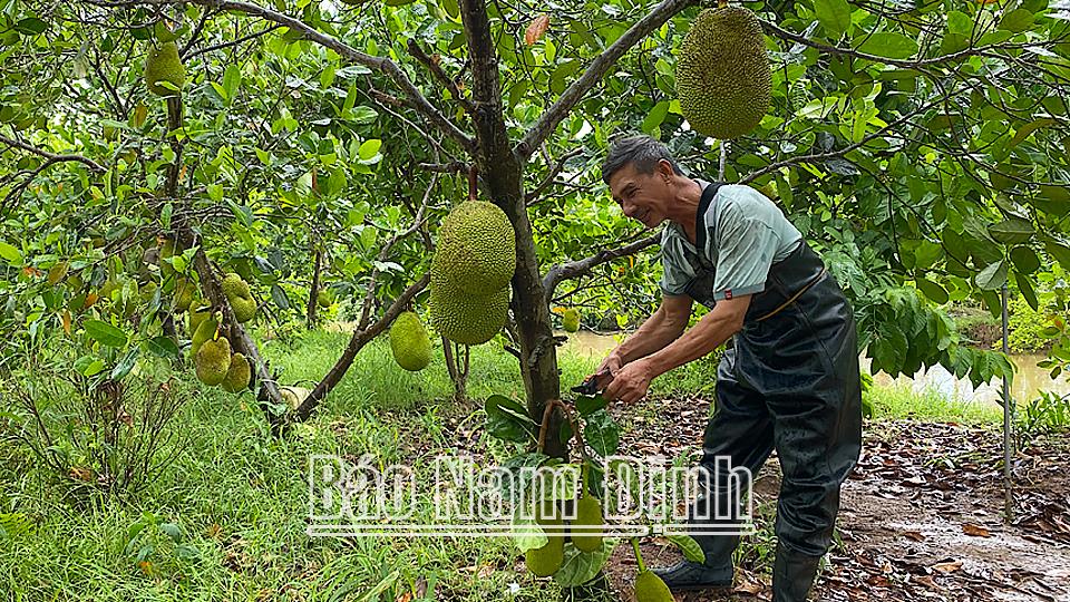 Phát triển kinh tế tập thể - Thực tiễn và giải pháp (kỳ 1)