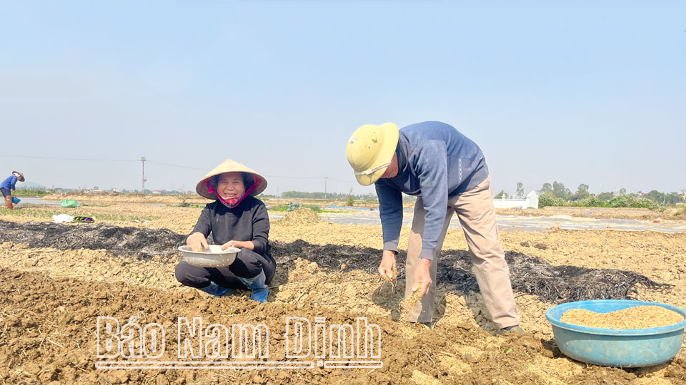 Vụ xuân hàng hóa ở Vụ Bản