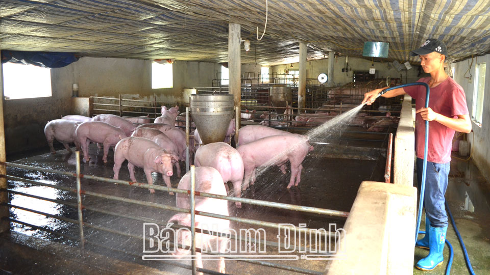 Vốn tín dụng chính sách đồng hành cùng người dân phục hồi sản xuất, kinh doanh