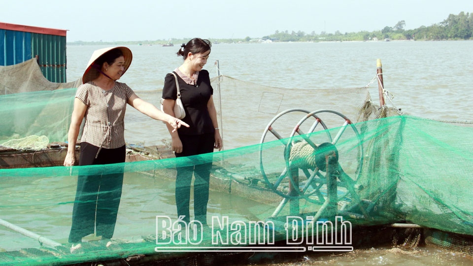 Làm giàu từ nghề nuôi cá lồng trên sông