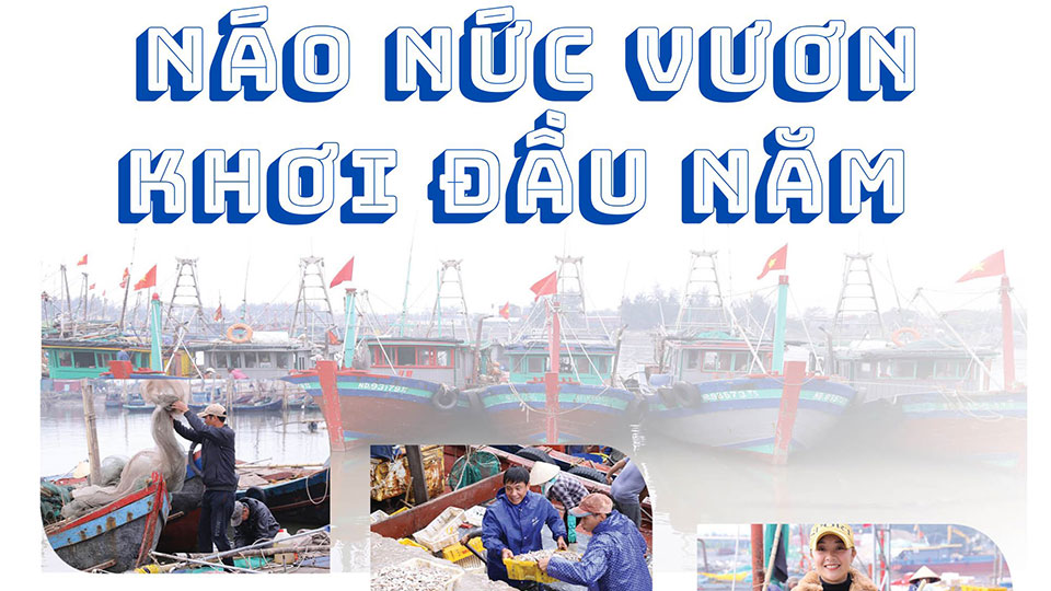 Náo nức vươn khơi đầu năm