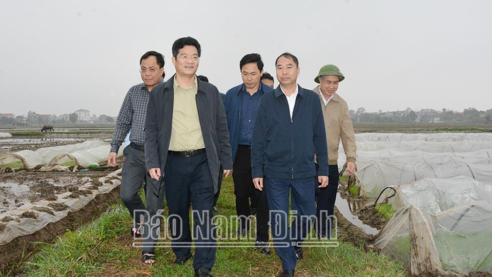 Đồng chí Phó Chủ tịch Thường trực UBND tỉnh kiểm tra sản xuất vụ xuân 2024
