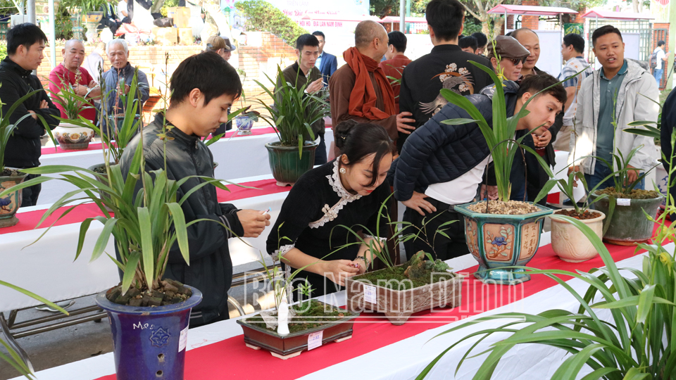 Khai mạc Triển lãm “Hương sắc hoa địa lan Nam Định” xuân Giáp Thìn 2024