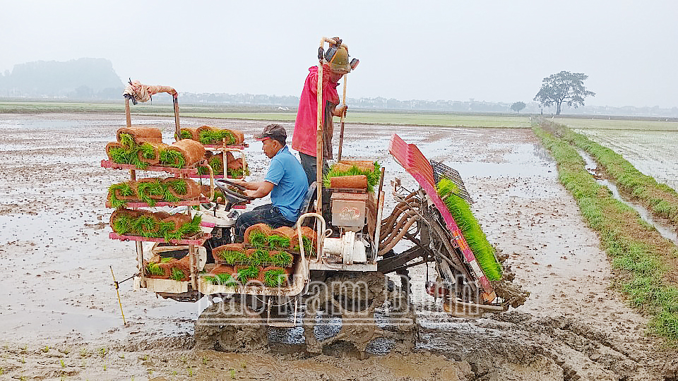 Tập trung chăm sóc lúa, màu vụ xuân 2024