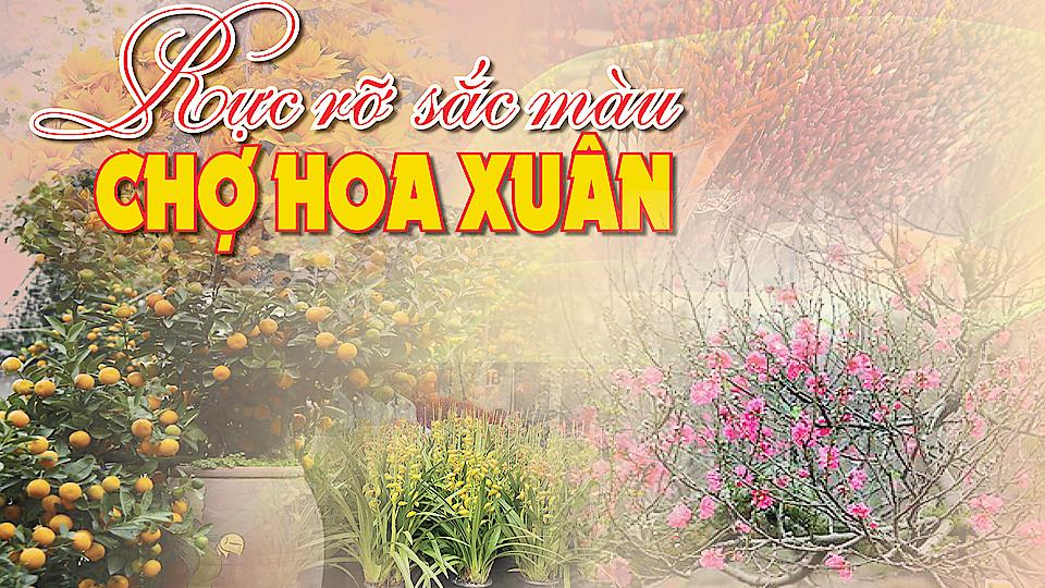 Rực rỡ sắc màu chợ hoa Xuân