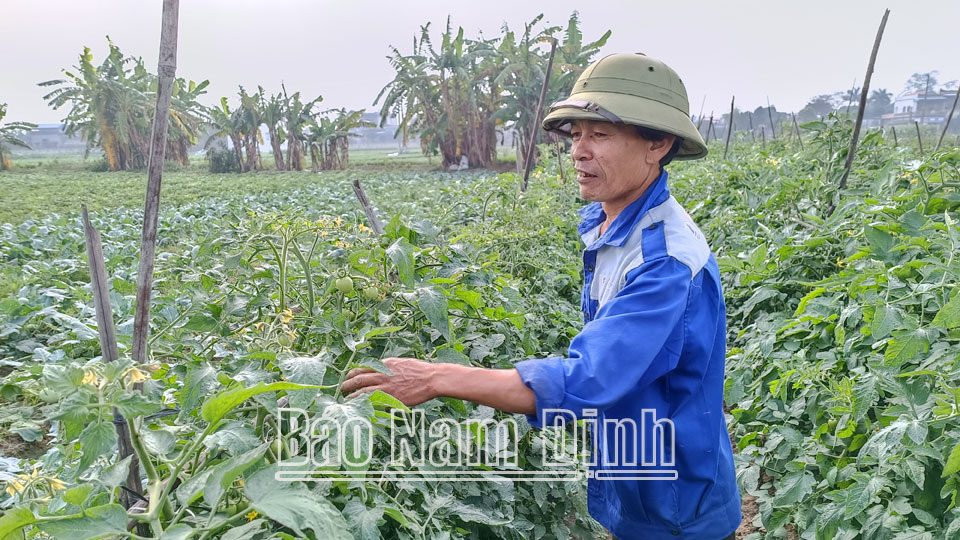 Đảng bộ xã Nam Dương chú trọngphát triển kinh tế nâng cao đời sống nhân dân