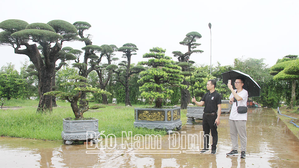 "Làng số" - cẩm nang mang nền tảng số đến hộ gia đình