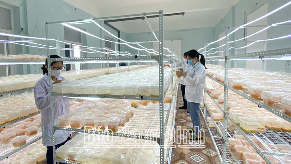 Nỗ lực đưa khoa học và công nghệvào cuộc sống