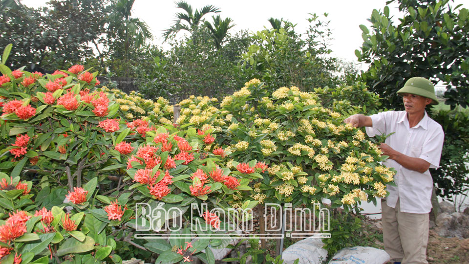 Hiệu quả từ mô hình sản xuấtnông nghiệp tuần hoàn ở Tân Thành