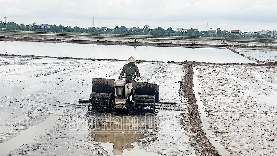 Đẩy nhanh tiến độ làm đất phục vụ gieo cấy lúa xuân