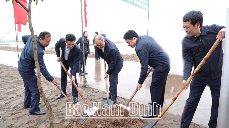 Hội Nông dân tỉnh phát động "Tết trồng cây đời đời nhớ ơn Bác Hồ"Xuân Ất Tỵ 2025