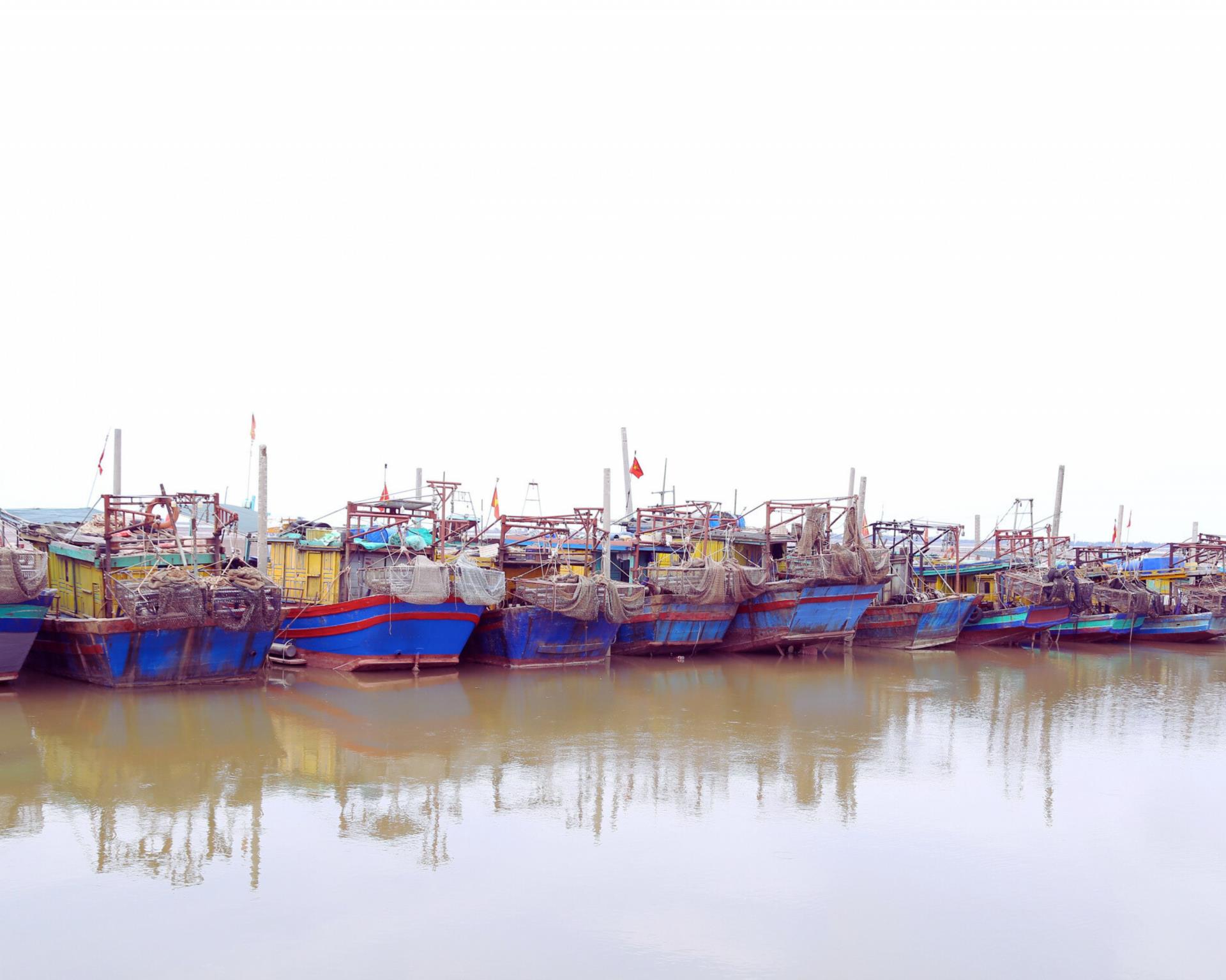 Vươn khơi đầu năm