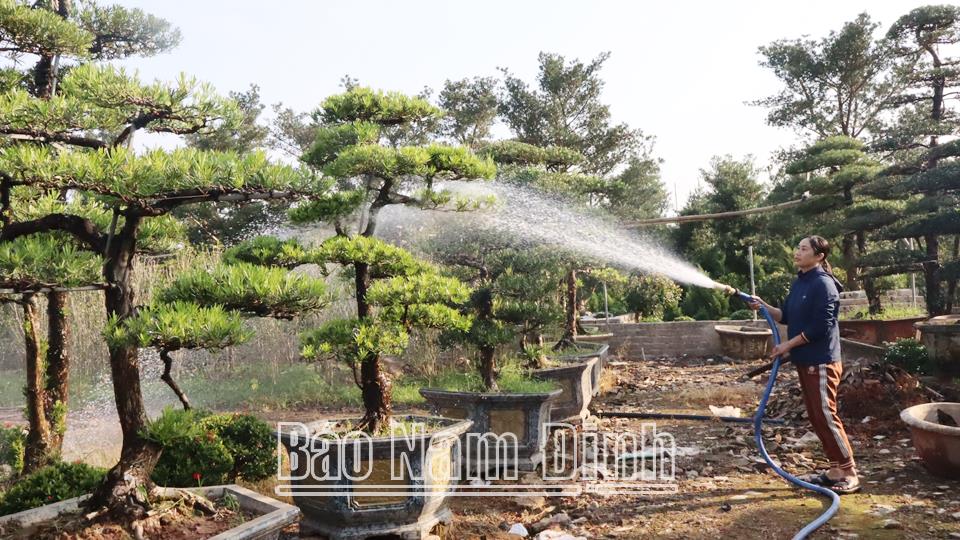 Thúc đẩy liên kết doanh nghiệp - nhà nôngtrong sản xuất nông nghiệp