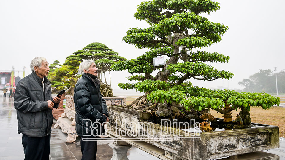 2 tháng đầu năm tổng thu từ khách du lịch ước đạt 124 tỷ đồng