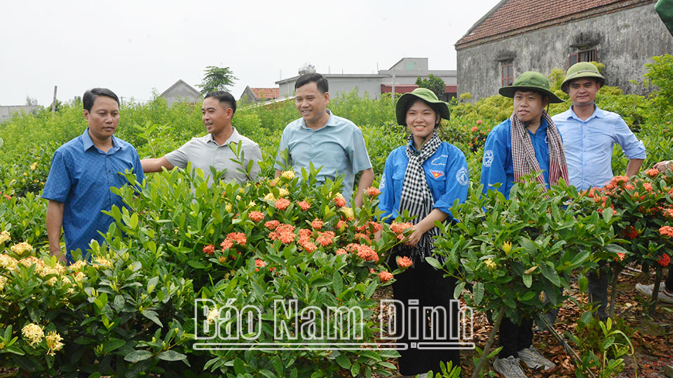 Lan tỏa mạnh mẽphong trào trồng cây xanh