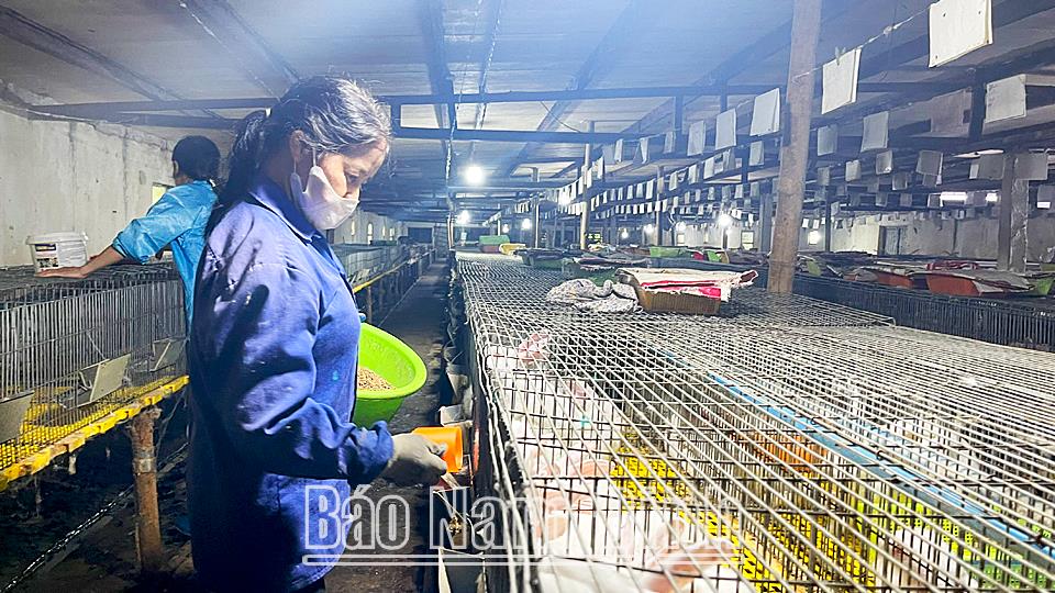 Học tập và làm theo tư tưởng, đạo đức, phong cách Hồ Chí Minh: Nông dân xã Hợp Hưnglàm theo lời Bác