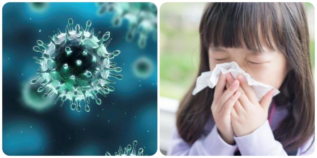 Cách nhận biết, điều trị và phòng ngừa cúm A