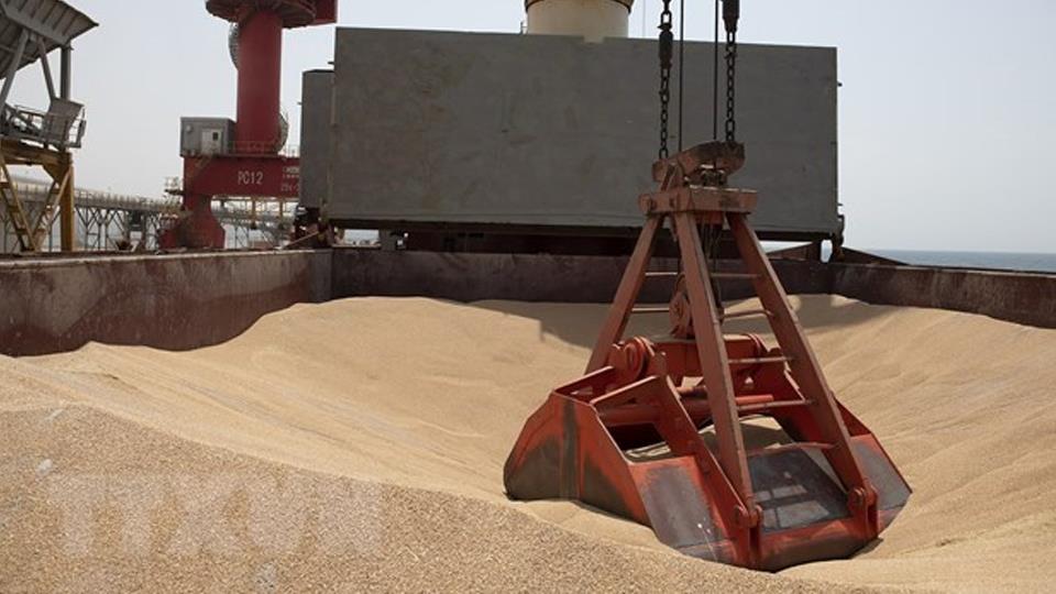 LHQ và Ukraine kêu gọi gia hạn thỏa thuận ngũ cốc Biển Đen