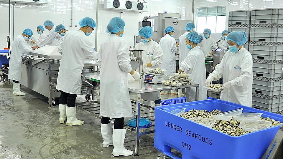 3 doanh nghiệp của tỉnh đạt chứng nhận Hàng Việt Nam chất lượng cao năm 2023