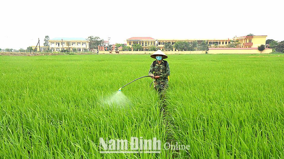 Tổ chức tập huấn sử dụng thuốc bảo vệ thực vật và kinh doanh vật tư nông nghiệp