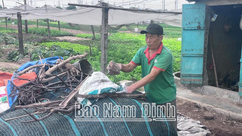 Cấp bách tìm giải pháp giảm thiểu chất thải nhựa trong sản xuất nông nghiệp
