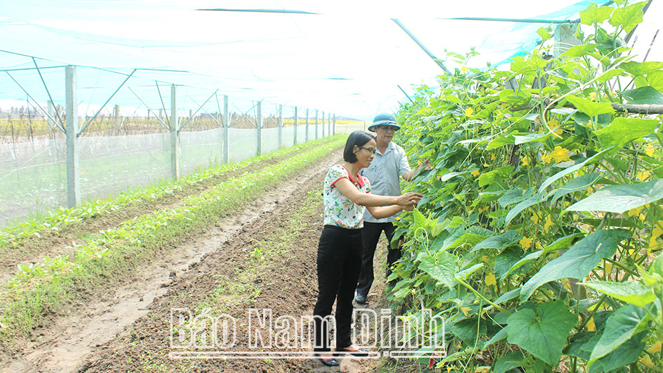 Thị trường việc làm, xuất khẩu lao động: Nhiều tín hiệu vui